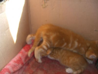 CIMG0207.JPG