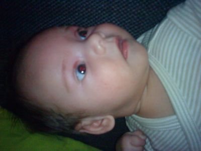 DSC00575.JPG