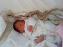 DSC00248.JPG