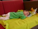 Dateiname=P1150267.JPG
Dateigröße=396KB
Abmessungen: 2048x1536
hinzugefügt am: 01. Dezember 2015 P1150267.JPG