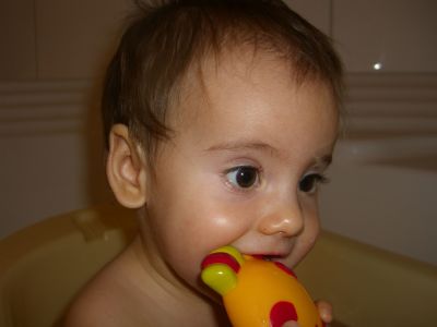 CIMG0780.JPG