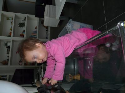 P1200322.JPG