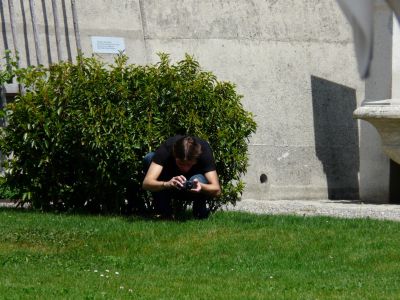 P1150163.JPG