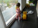 Dateiname=P1220885.JPG
Dateigröße=360KB
Abmessungen: 2048x1536
hinzugefügt am: 01. Dezember 2015 P1220885.JPG