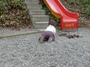 Dateiname=P1220971.JPG
Dateigröße=826KB
Abmessungen: 2048x1536
hinzugefügt am: 01. Dezember 2015 P1220971.JPG