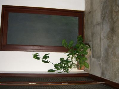 cimg3912.jpg