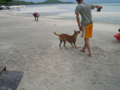 PICT0071_001.JPG
