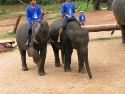 PICT0110.JPG