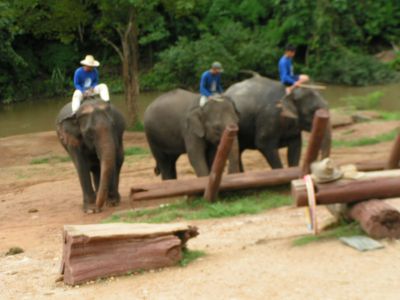 PICT0111.JPG