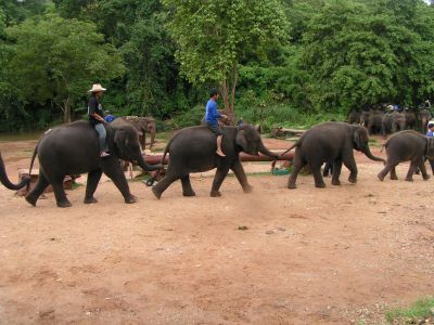 PICT0112.JPG