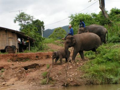 PICT0142.JPG