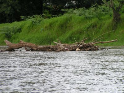 PICT0145.JPG