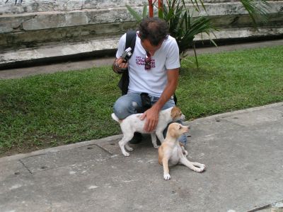 PICT0147_001.JPG