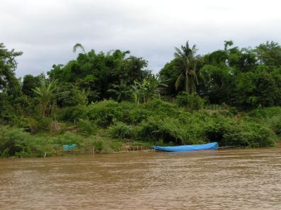 PICT0331.JPG