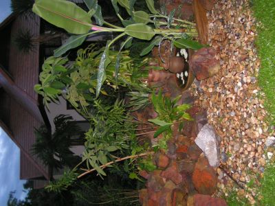 PICT0418.JPG