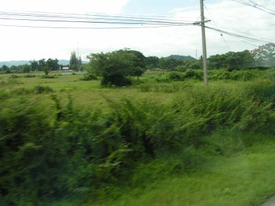 PICT0436.JPG