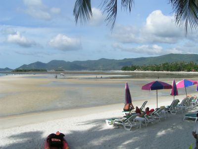PICT0943.JPG