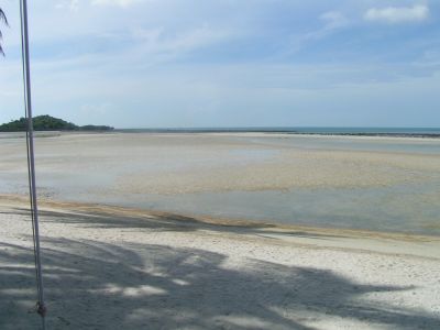 PICT0944.JPG
