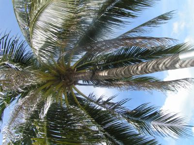 PICT0980.JPG