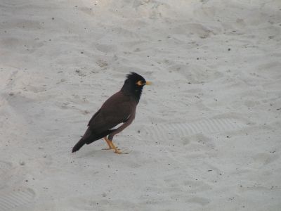 PICT1189.JPG