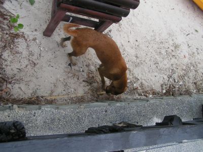 PICT1213.JPG