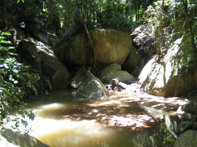PICT1279.JPG