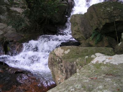 PICT1341.JPG