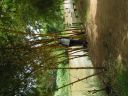 PICT0153.JPG