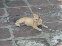 PICT0737.JPG